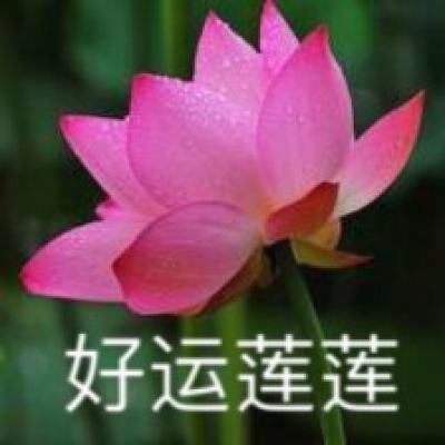 城堡证券股票策略主管料轧空行情将刺激标普500指数大涨